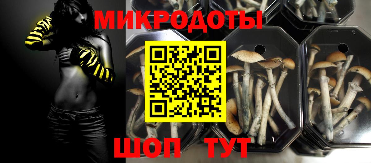 Галлюциногенные грибы ЛСД Киселёвск
