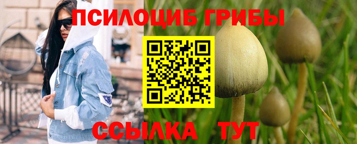 Киселёвск  где купить наркоту  Вход с VPN  Псилоцибиновые грибы MAGIC MUSHROOMS 